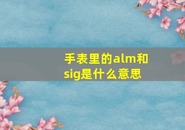 手表里的alm和sig是什么意思