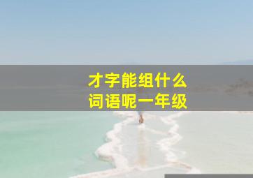 才字能组什么词语呢一年级