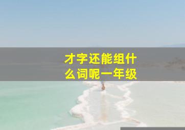 才字还能组什么词呢一年级