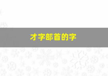 才字部首的字