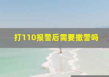 打110报警后需要撤警吗