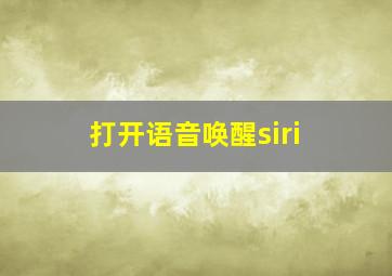 打开语音唤醒siri