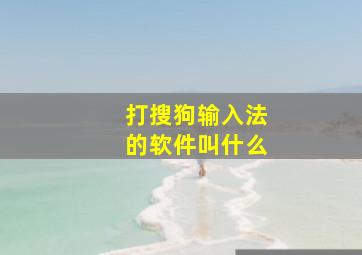 打搜狗输入法的软件叫什么