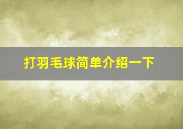 打羽毛球简单介绍一下