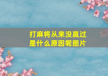 打麻将从来没赢过是什么原因呢图片