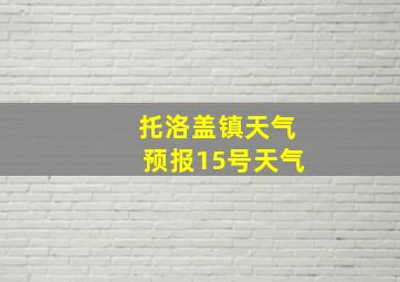 托洛盖镇天气预报15号天气