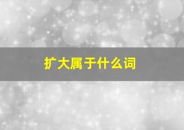 扩大属于什么词