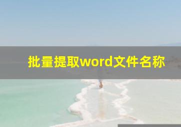 批量提取word文件名称