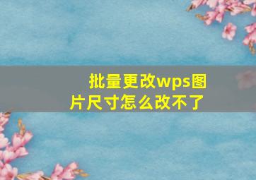 批量更改wps图片尺寸怎么改不了