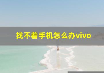 找不着手机怎么办vivo