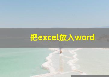 把excel放入word