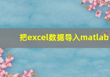 把excel数据导入matlab