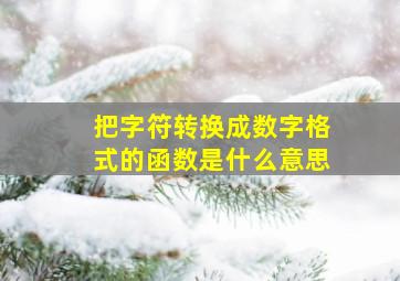 把字符转换成数字格式的函数是什么意思