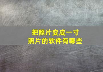 把照片变成一寸照片的软件有哪些