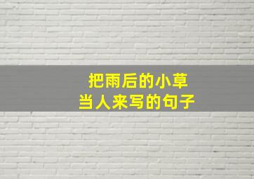 把雨后的小草当人来写的句子