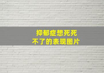 抑郁症想死死不了的表现图片