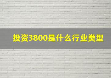 投资3800是什么行业类型