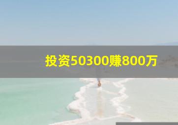 投资50300赚800万