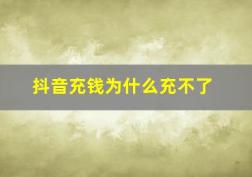 抖音充钱为什么充不了