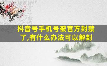 抖音号手机号被官方封禁了,有什么办法可以解封