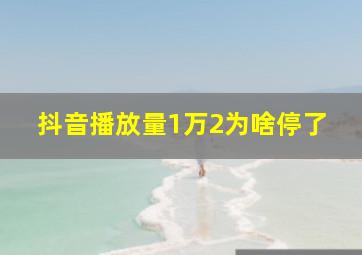 抖音播放量1万2为啥停了