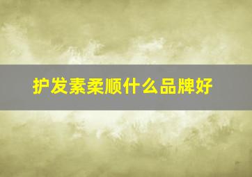 护发素柔顺什么品牌好