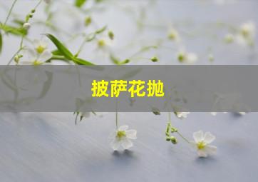 披萨花抛