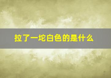 拉了一坨白色的是什么