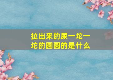 拉出来的屎一坨一坨的圆圆的是什么