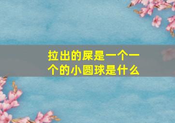 拉出的屎是一个一个的小圆球是什么