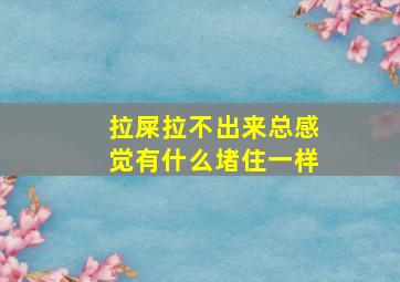 拉屎拉不出来总感觉有什么堵住一样