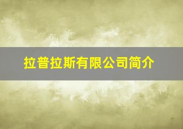 拉普拉斯有限公司简介