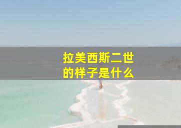 拉美西斯二世的样子是什么