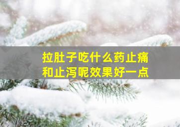 拉肚子吃什么药止痛和止泻呢效果好一点