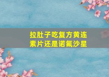 拉肚子吃复方黄连素片还是诺氟沙星