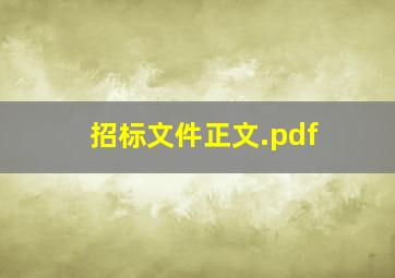 招标文件正文.pdf