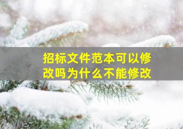 招标文件范本可以修改吗为什么不能修改