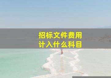 招标文件费用计入什么科目