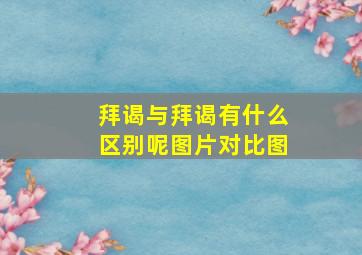 拜谒与拜谒有什么区别呢图片对比图