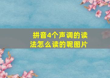 拼音4个声调的读法怎么读的呢图片