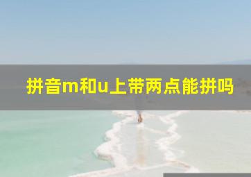 拼音m和u上带两点能拼吗