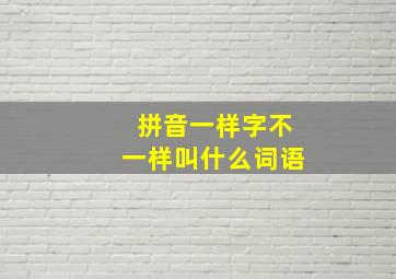 拼音一样字不一样叫什么词语