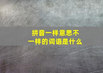 拼音一样意思不一样的词语是什么