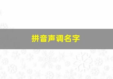 拼音声调名字