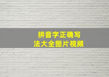 拼音字正确写法大全图片视频