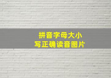 拼音字母大小写正确读音图片