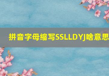 拼音字母缩写SSLLDYJ啥意思