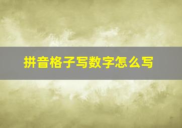 拼音格子写数字怎么写