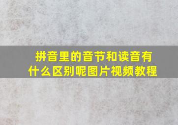 拼音里的音节和读音有什么区别呢图片视频教程