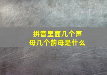 拼音里面几个声母几个韵母是什么